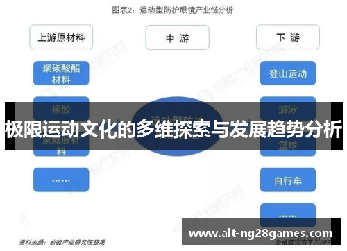 极限运动文化的多维探索与发展趋势分析