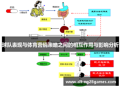 球队表现与体育营销策略之间的相互作用与影响分析