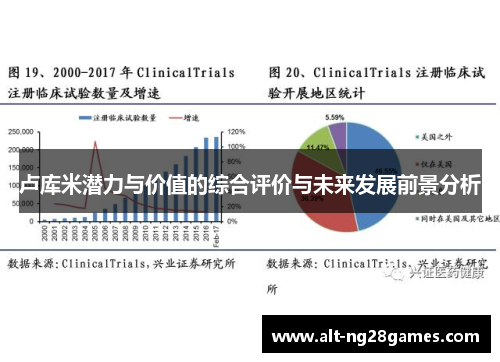 卢库米潜力与价值的综合评价与未来发展前景分析