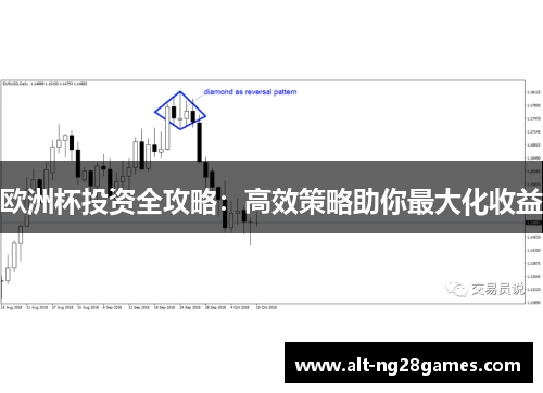 欧洲杯投资全攻略：高效策略助你最大化收益