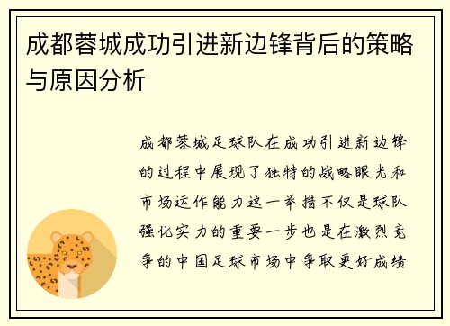 成都蓉城成功引进新边锋背后的策略与原因分析